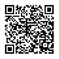Jerry Cards Contact QR Code